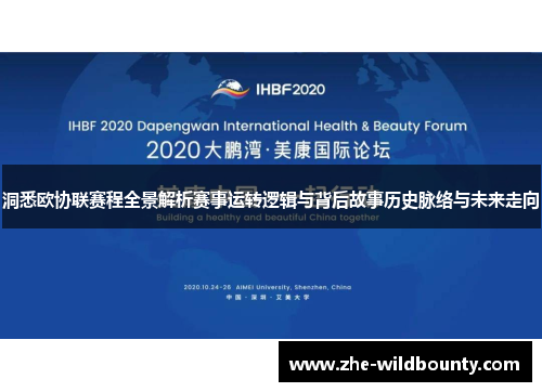 洞悉欧协联赛程全景解析赛事运转逻辑与背后故事历史脉络与未来走向