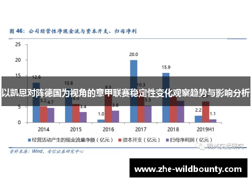 以凯恩对阵德国为视角的意甲联赛稳定性变化观察趋势与影响分析